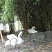 20110619 Brugge 188 (77)