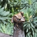 20110619 Brugge 188 (176)