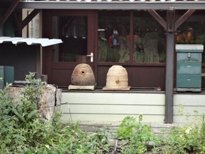 DSC01084