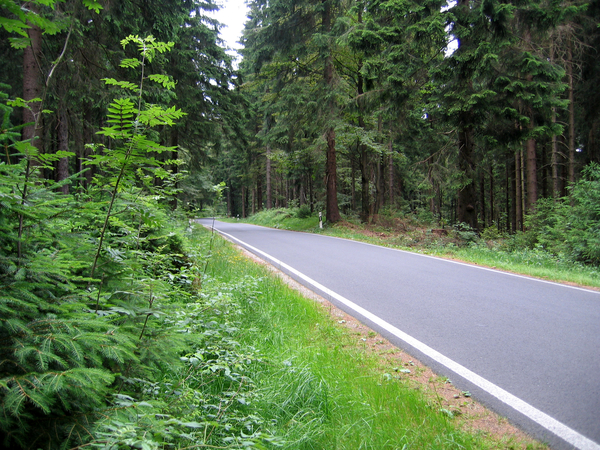 thuringen wald