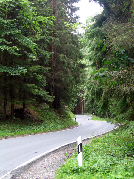 frankenwald