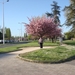 DSC00749