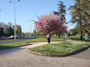 DSC00749