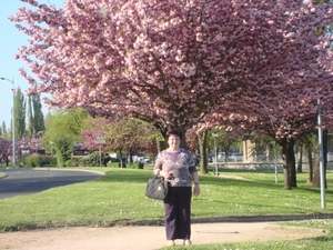 DSC00750