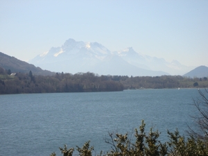 DSC00761