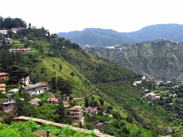 DEEL SHIMLA OP 2210 M GELEGEN