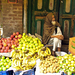 APPELS ZIJN DE BEKENDSTE VRUCHTEN IN HIMACHAL PRADESH