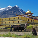 DE GOMPA VAN KUNGRI IN DE PIN VALLEY