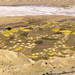 DE LANDBOUWPERCELEN IN DE SPITI VALLEI GEZIEN VANUIT KEY GOMPA