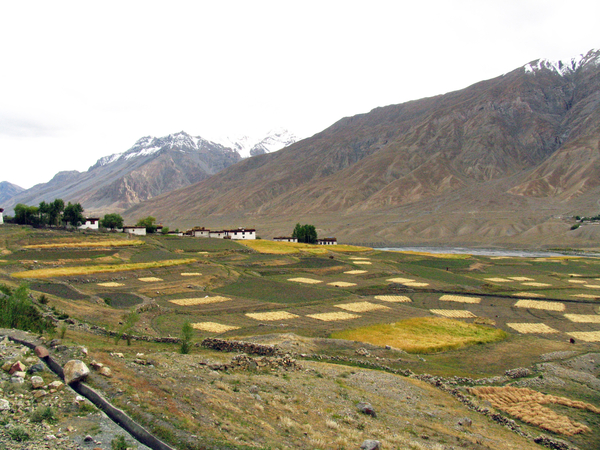 TERUG BIJ DE SPITI VALLEI