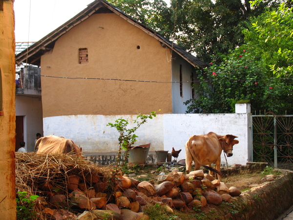 IN HET OUDE PRAGPUR