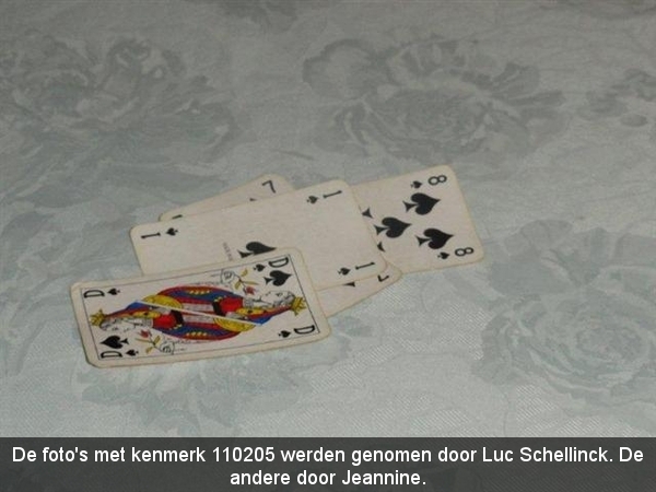 110205_konoainenkoortink_b+ Remi en Jeannine_017