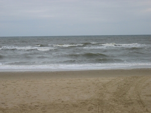 bergen aan zee 2005 (2)