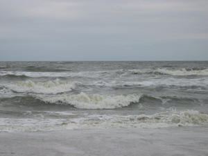 bergen aan zee 2005 (5)