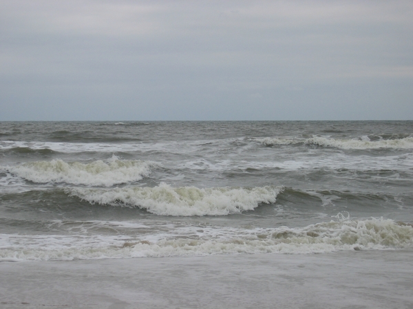bergen aan zee 2005 (5)