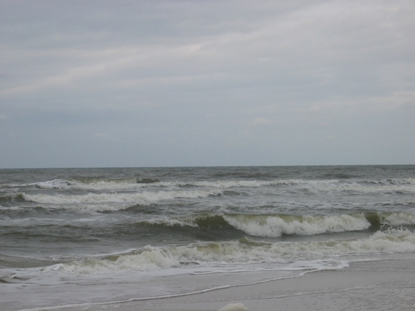 bergen aan zee 2005 (6)