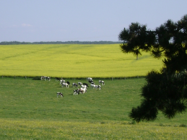 100522 Bouillon Semois Orval F Stenay Sedan B Humain 084