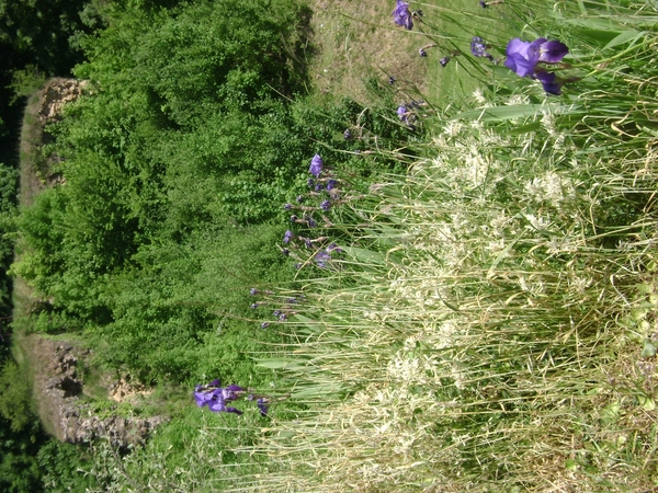 100522 Bouillon Semois Orval F Stenay Sedan B Humain 107