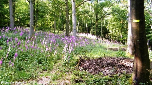 marche FFBMP wandeling Silenrieux