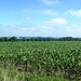 2011_06_26 Silenrieux 29