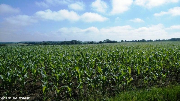 marche FFBMP wandeling Silenrieux