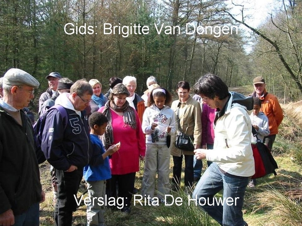 Lentewandeling Ravels 2