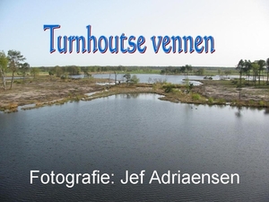 Turnhoutse Vennen 01