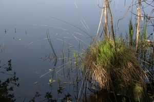 vennen 10 maart 2011 009