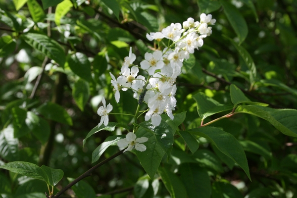 vennen 10 maart 2011 013