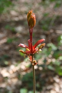 vennen 10 maart 2011 014