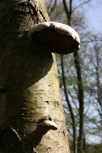 vennen 10 maart 2011 016