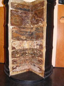 P1270908