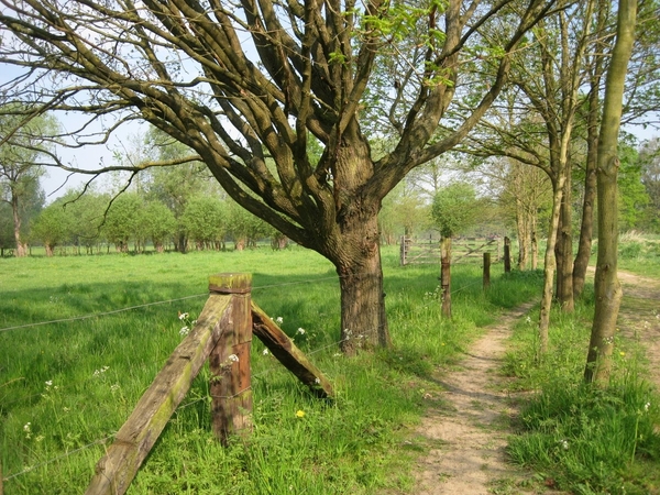 23 04 2010 Voorbereiding Dijle wand Oude Bemde ,Meerdalwoud 013