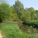 23 04 2010 Voorbereiding Dijle wand Oude Bemde ,Meerdalwoud 015