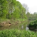 23 04 2010 Voorbereiding Dijle wand Oude Bemde ,Meerdalwoud 017