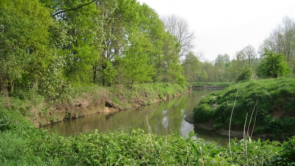 23 04 2010 Voorbereiding Dijle wand Oude Bemde ,Meerdalwoud 017