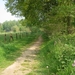 23 04 2010 Voorbereiding Dijle wand Oude Bemde ,Meerdalwoud 018