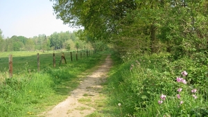 23 04 2010 Voorbereiding Dijle wand Oude Bemde ,Meerdalwoud 018