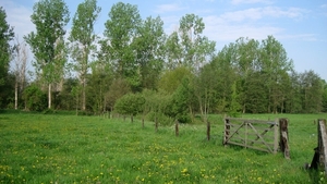 23 04 2010 Voorbereiding Dijle wand Oude Bemde ,Meerdalwoud 019