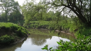 23 04 2010 Voorbereiding Dijle wand Oude Bemde ,Meerdalwoud 021