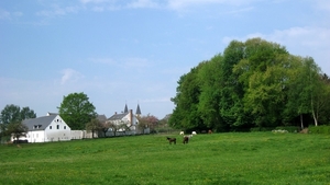 23 04 2010 Voorbereiding Dijle wand Oude Bemde ,Meerdalwoud 031