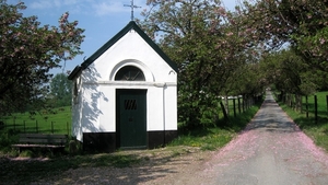 23 04 2010 Voorbereiding Dijle wand Oude Bemde ,Meerdalwoud 033