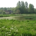 23 04 2010 Voorbereiding Dijle wand Oude Bemde ,Meerdalwoud 037