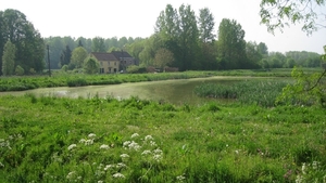 23 04 2010 Voorbereiding Dijle wand Oude Bemde ,Meerdalwoud 037