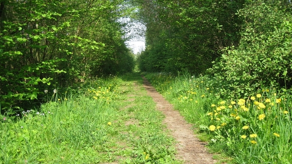 23 04 2010 Voorbereiding Dijle wand Oude Bemde ,Meerdalwoud 040