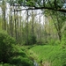 23 04 2010 Voorbereiding Dijle wand Oude Bemde ,Meerdalwoud 044