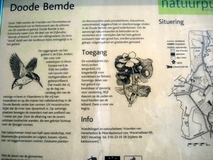 23 04 2010 Voorbereiding Dijle wand Oude Bemde ,Meerdalwoud 046