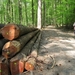 23 04 2010 Voorbereiding Dijle wand Oude Bemde ,Meerdalwoud 048