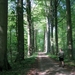 23 04 2010 Voorbereiding Dijle wand Oude Bemde ,Meerdalwoud 063