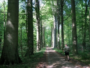 23 04 2010 Voorbereiding Dijle wand Oude Bemde ,Meerdalwoud 063